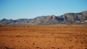 Desierto
