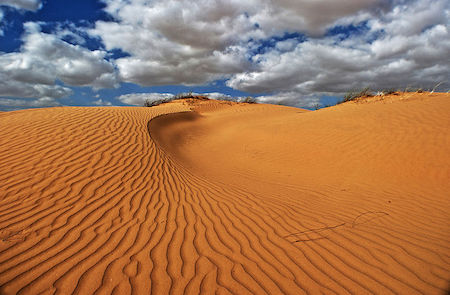 tipos de dunas de arena