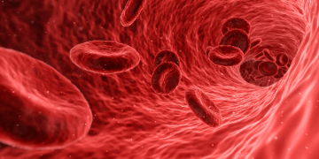 las células rojas de la sangre