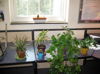 Plantas de aula