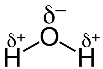 molécula de agua polar