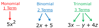 términos polinomiales