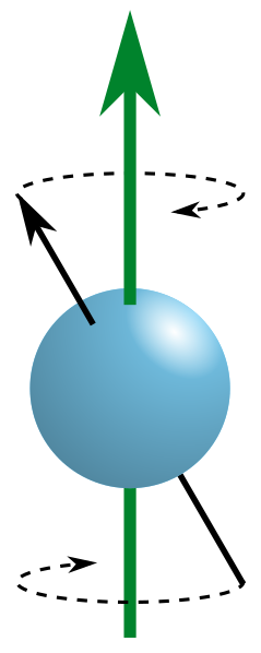 Ilustración de una bola giratoria que muestra la precesión de los ejes norte y sur.
