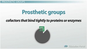 Grupos protésicos