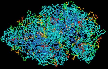 Una imagen que muestra una representación 3D de una proteína muy grande a nivel molecular.