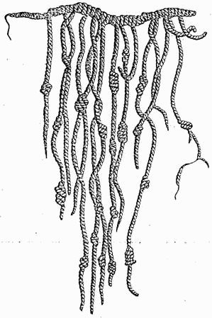 Nudos Quipu