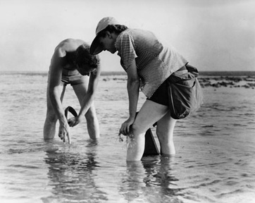 Investigación de Rachel Carson y Bob Hines en el Atlántico