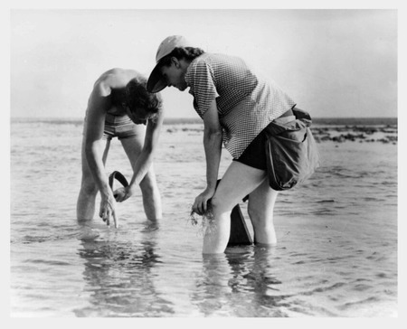 Fuente: https://pixnio.com/vintage-photography/marine-biology-research