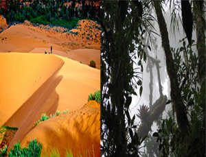 desierto