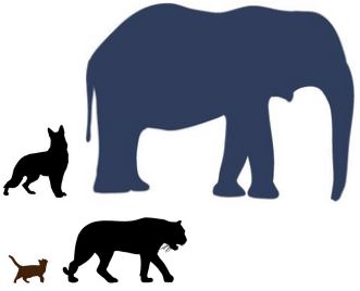 tamaño relativo de los animales