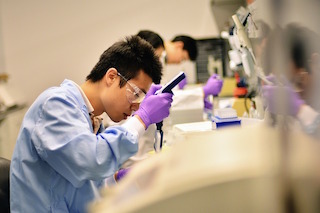 investigación