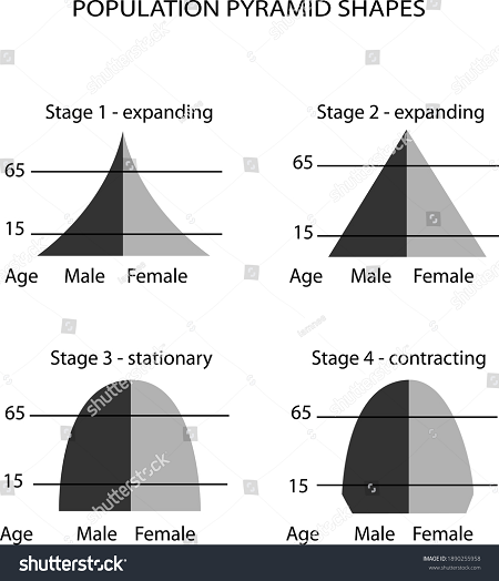 El gráfico en blanco y negro contiene cuatro pirámides de población de cuatro formas de escenario diferentes, con el género en el eje inferior y la edad en el eje lateral. Las pirámides en expansión de la Etapa 1 y 2 tienen la forma de una pirámide tradicional, con menos en la población que envejece y muchas más en la población más joven. La Etapa 3 Expansión y la Etapa 4 Contratación tienen más forma de cúpula con aproximadamente la misma cantidad de hombres y mujeres en cada edad.