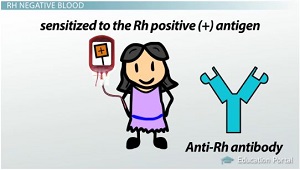 Anticuerpos Rh