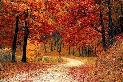 colores de otoño
