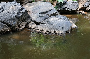 Río y rocas