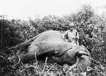 tr