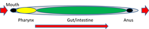nulo