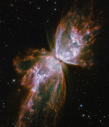 mariposa