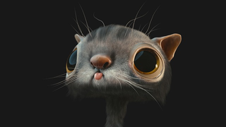 Gato