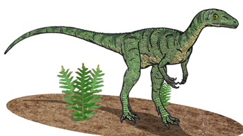 eoraptor