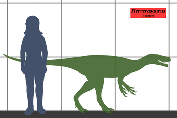 herra