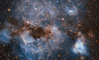 lmc