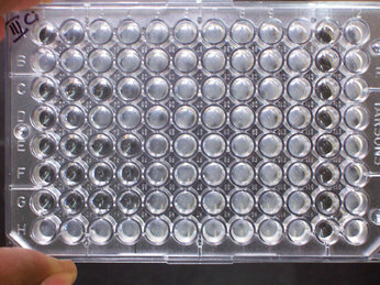 Dilución en caldo. Las áreas nubladas muestran crecimiento microbiano.