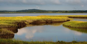 marsh2