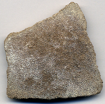 cáscara