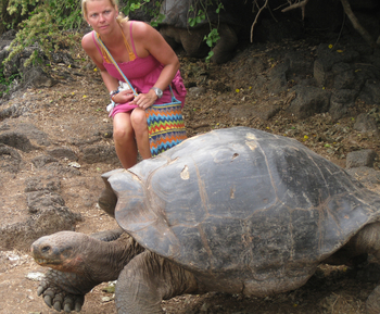 tortuga
