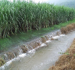 escorrentía de aguas pluviales