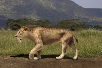 Tigre dientes de sable