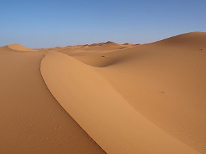 el desierto del Sahara