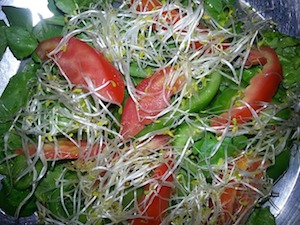 ensalada de alfalfa