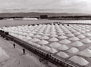 Salinas