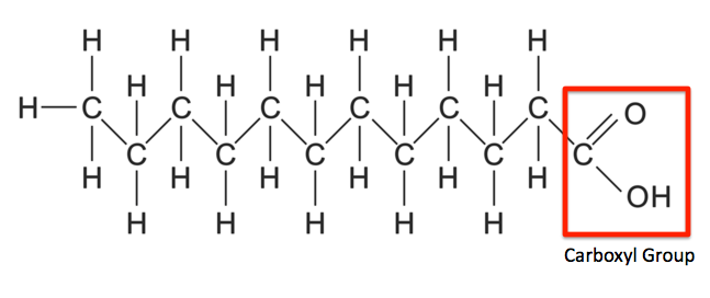 acido laurico