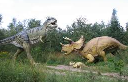triceratops