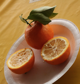 Sevilla naranja