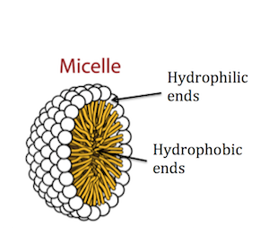 micela