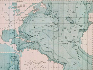 1855 Fondo marino