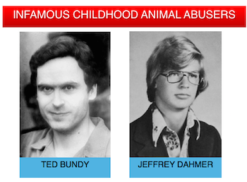 Abusadores de animales 