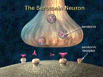 Diagrama de serotonina