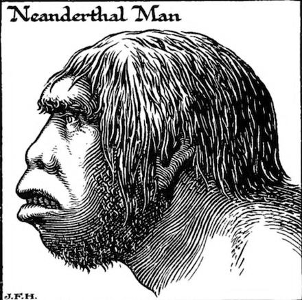 Imagen de la estructura facial de Neanderthal.