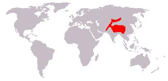 Mapa mundial con área roja en Asia Central que muestra su rango de hábitat.