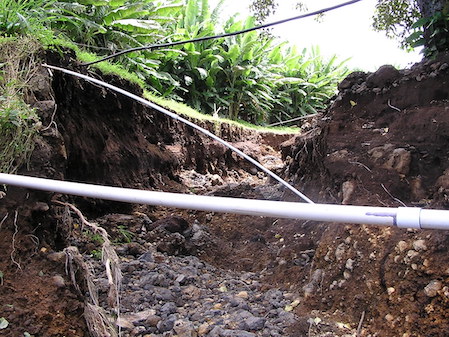 Fotografía de una depresión provocada por el escurrimiento de aguas superficiales. Las plantas están presentes en ambos lados. Junto a la depresión hay rocas de diferentes tamaños.