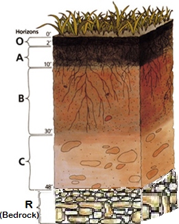 capas de suelo