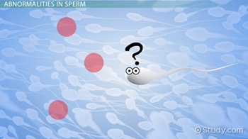 esperma