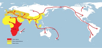 Expansión humana