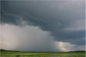 Tormenta de verano
