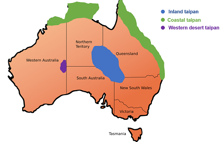 Mapa que muestra la distribución de las tres especies de taipán en Australia